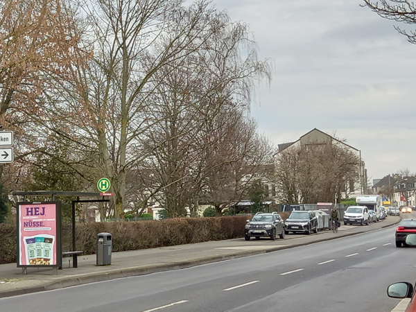 Immobilienmakler Köln Lindenthal